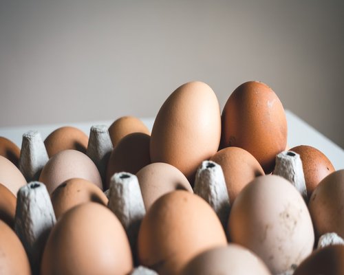 Organic eggs resting in a carton with natural lighting