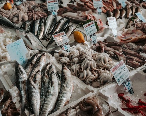 Freshly caught fish displayed on ice at a local seafood market